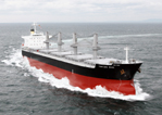 56,000 DWT Type Bulk Carrier M.V. "FORTUNE WING"