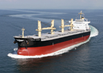 56,000 DWT Type Bulk Carrier M.V. "DESERT CONDOR"