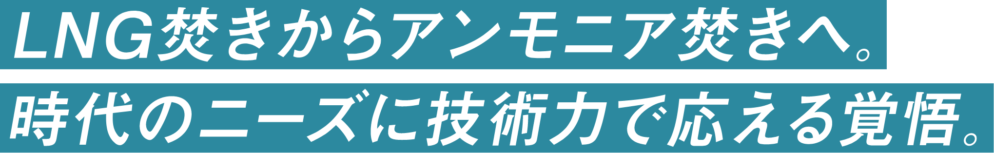 LNG焚きからアンモニア焚きへ。時代のニーズに技術力で応える覚悟。