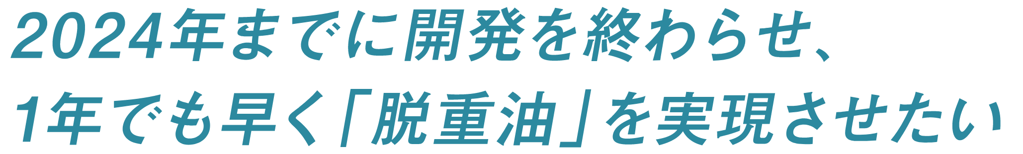 2024年までに開発を終わらせ、1年でも早く「脱重油」を実現させたい