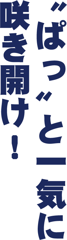 〝ぱっ〟と一気に咲き開け！