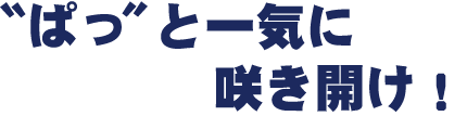 〝ぱっ〟と一気に咲き開け！